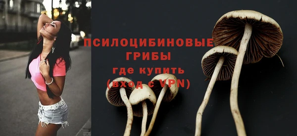 прущий лед Михайловка