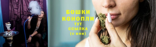 spice Михайлов