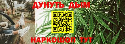 сатива Славгород