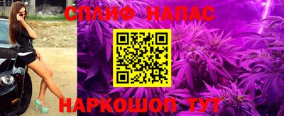 сатива Славгород