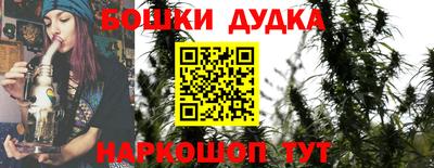 сатива Славгород