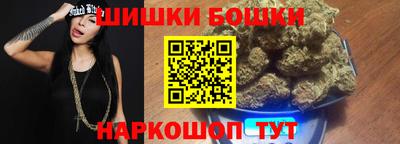 СК Сланцы