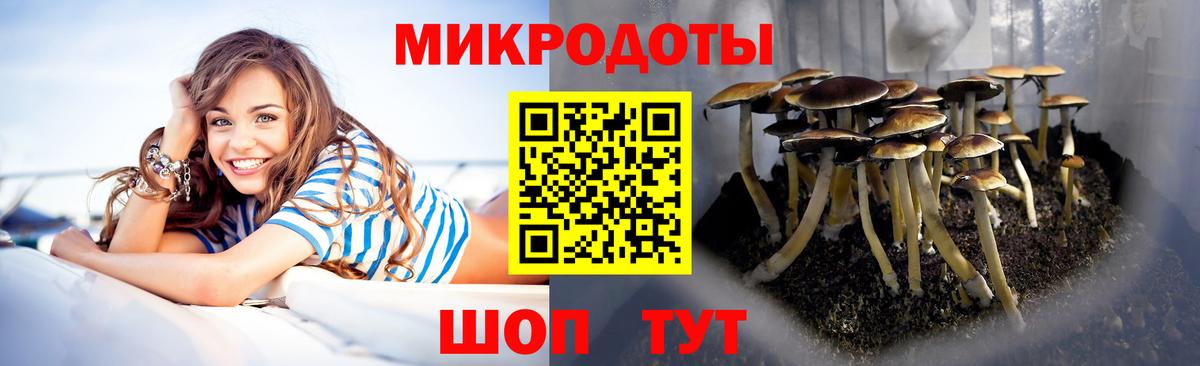 Псилоцибиновые грибы MAGIC MUSHROOMS  Вход с VPN  Орск 