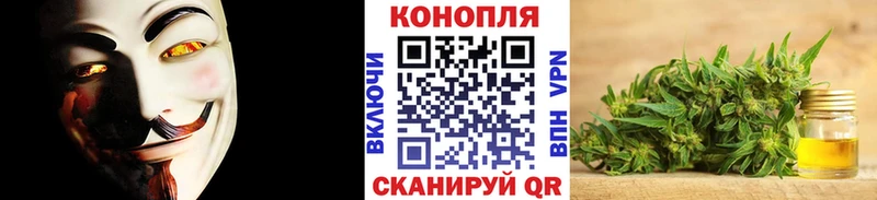закладка  Орск  Бошки марихуана конопля 